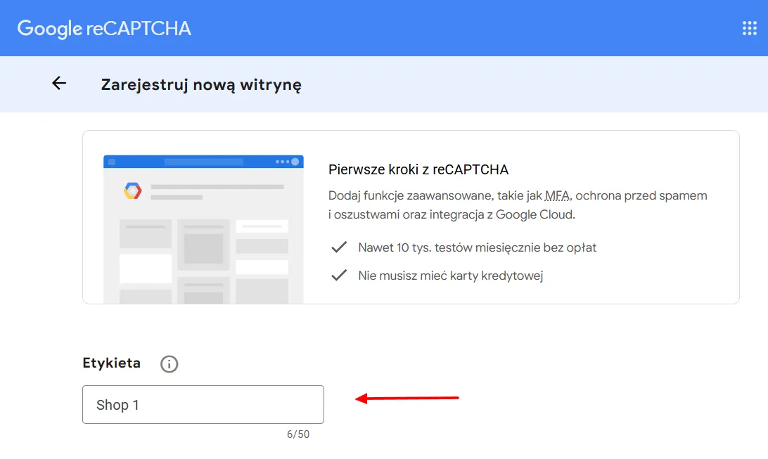 reCAPTCHA